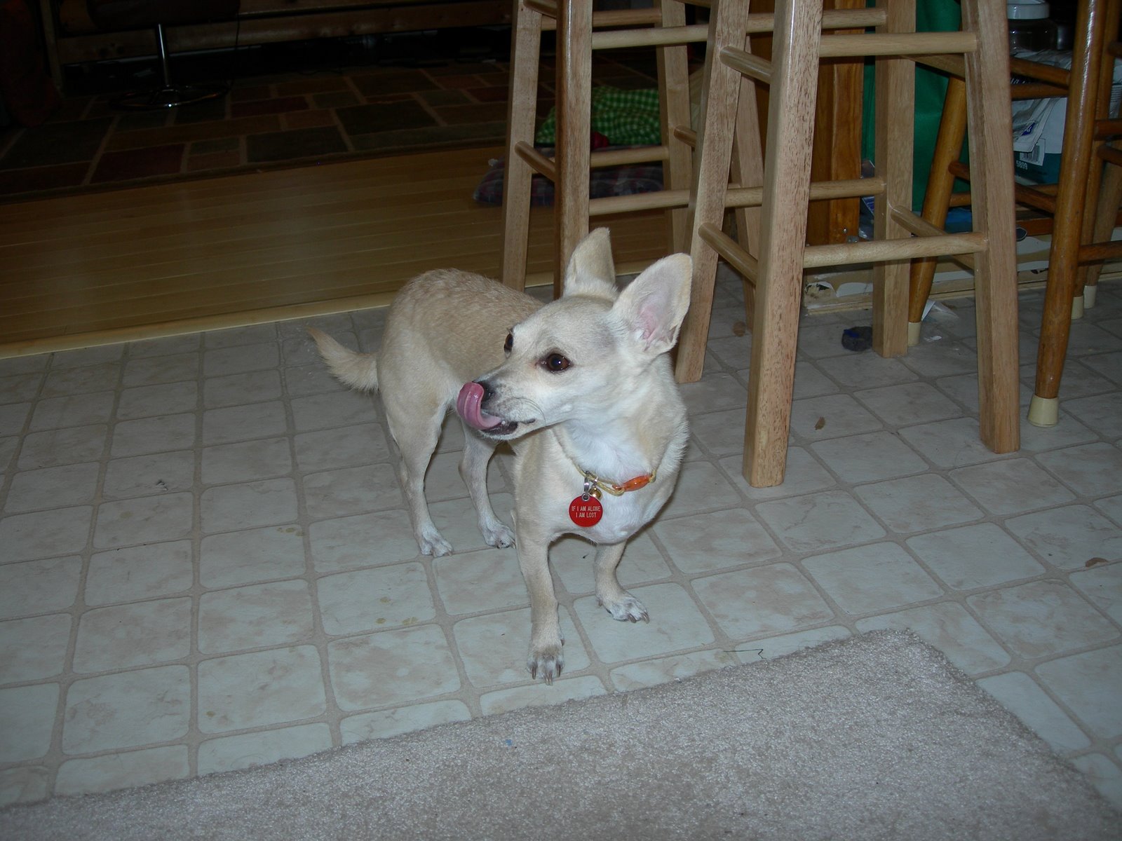 [DSCN2795.JPG]