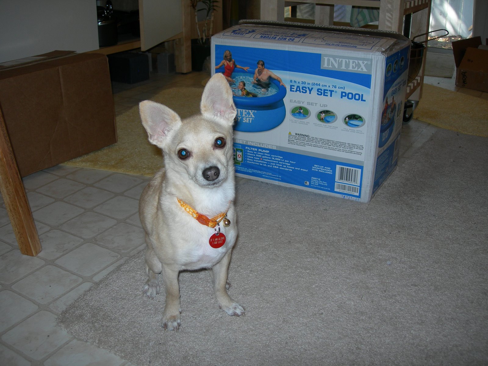 [DSCN3374.JPG]