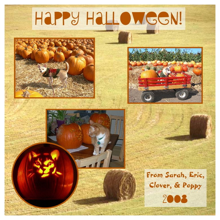 [halloween+e-card+2008+jpg.JPG]