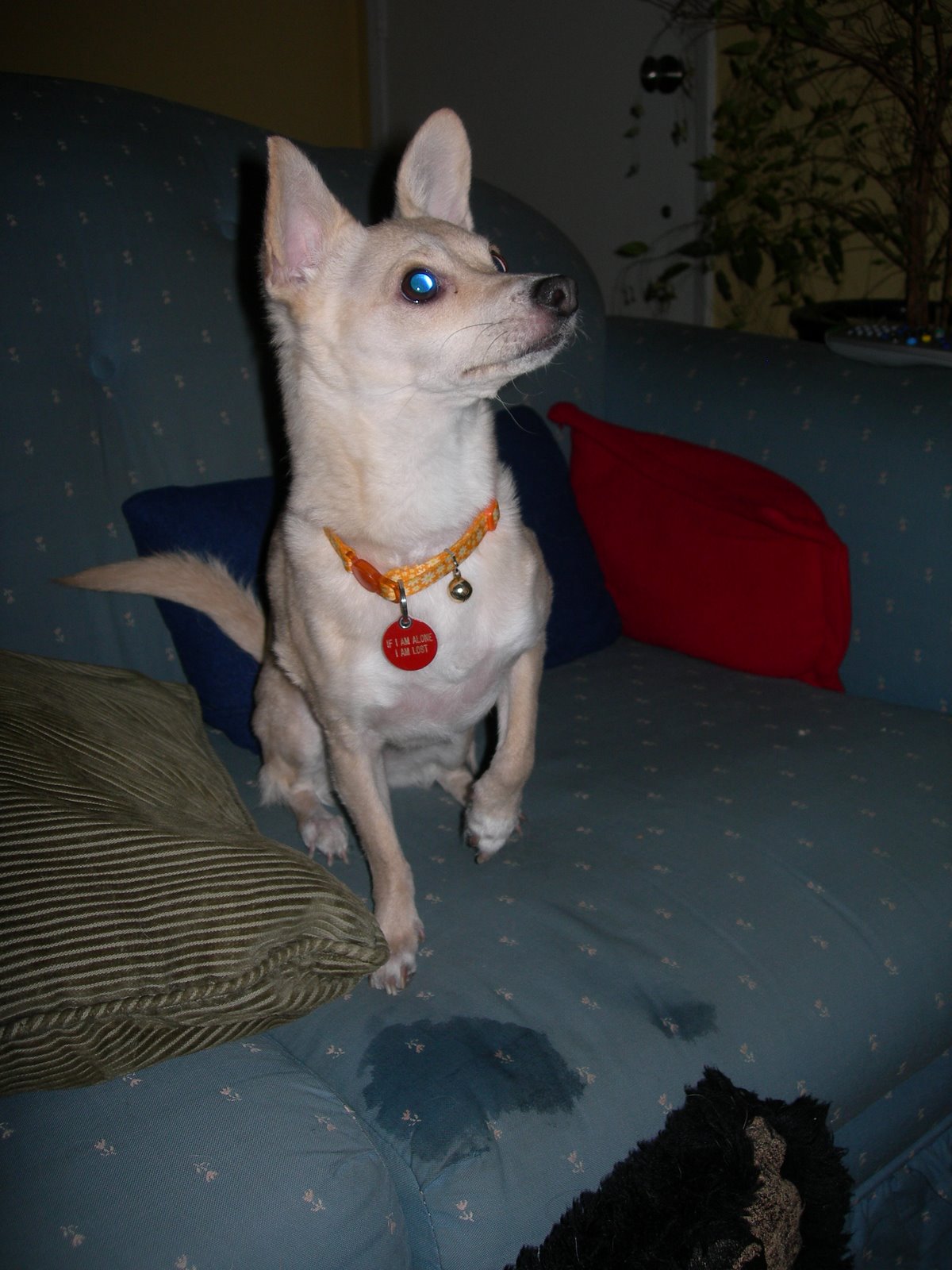 [DSCN4107.JPG]