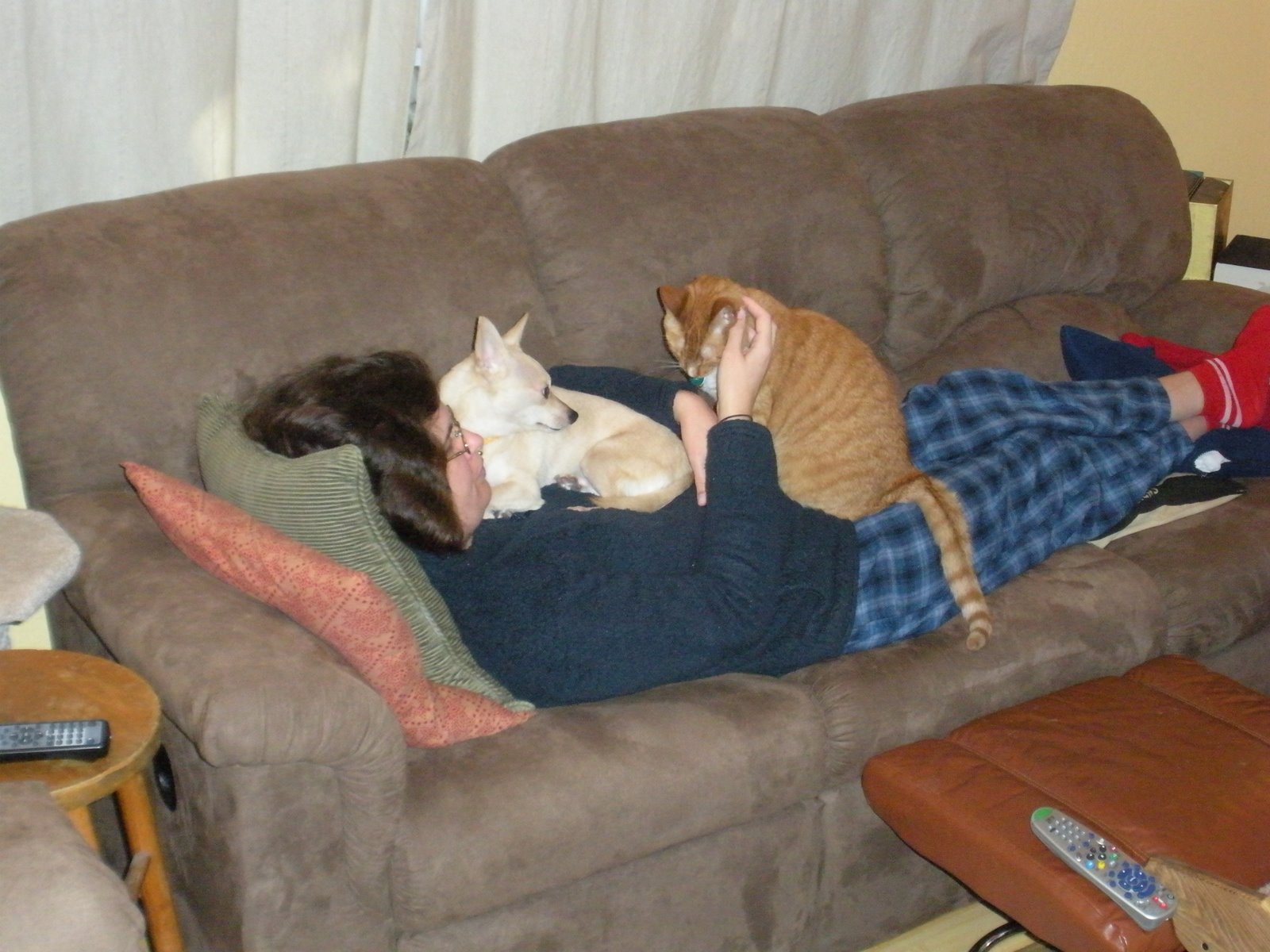 [DSCN0118.JPG]