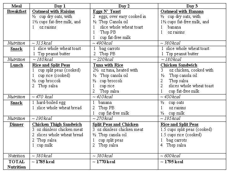 Healthy Diet Daily Meal Plan