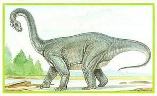 CHUBUTISAURUS