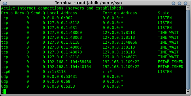 [netstat.png]