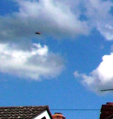 [ufo1.jpg]