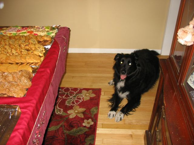 [Waiting+for+the+cookie+to+crumble.jpeg]