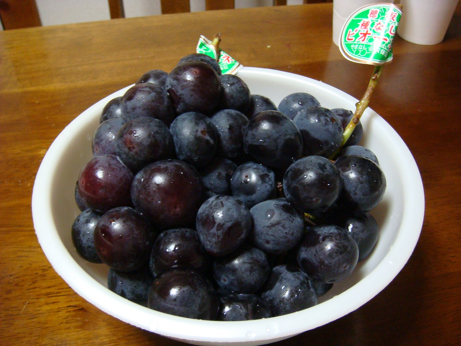 [DSC05622.JPG]