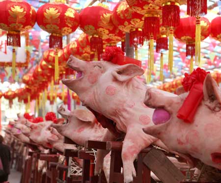 concours du plus beau cochon chinois