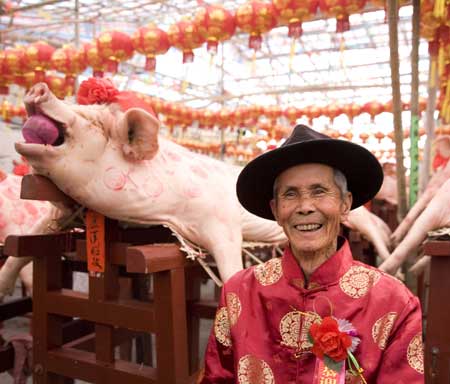 cochon concours chinois insolite