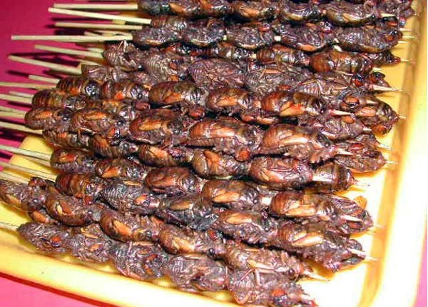 barbecue-chine.jpg