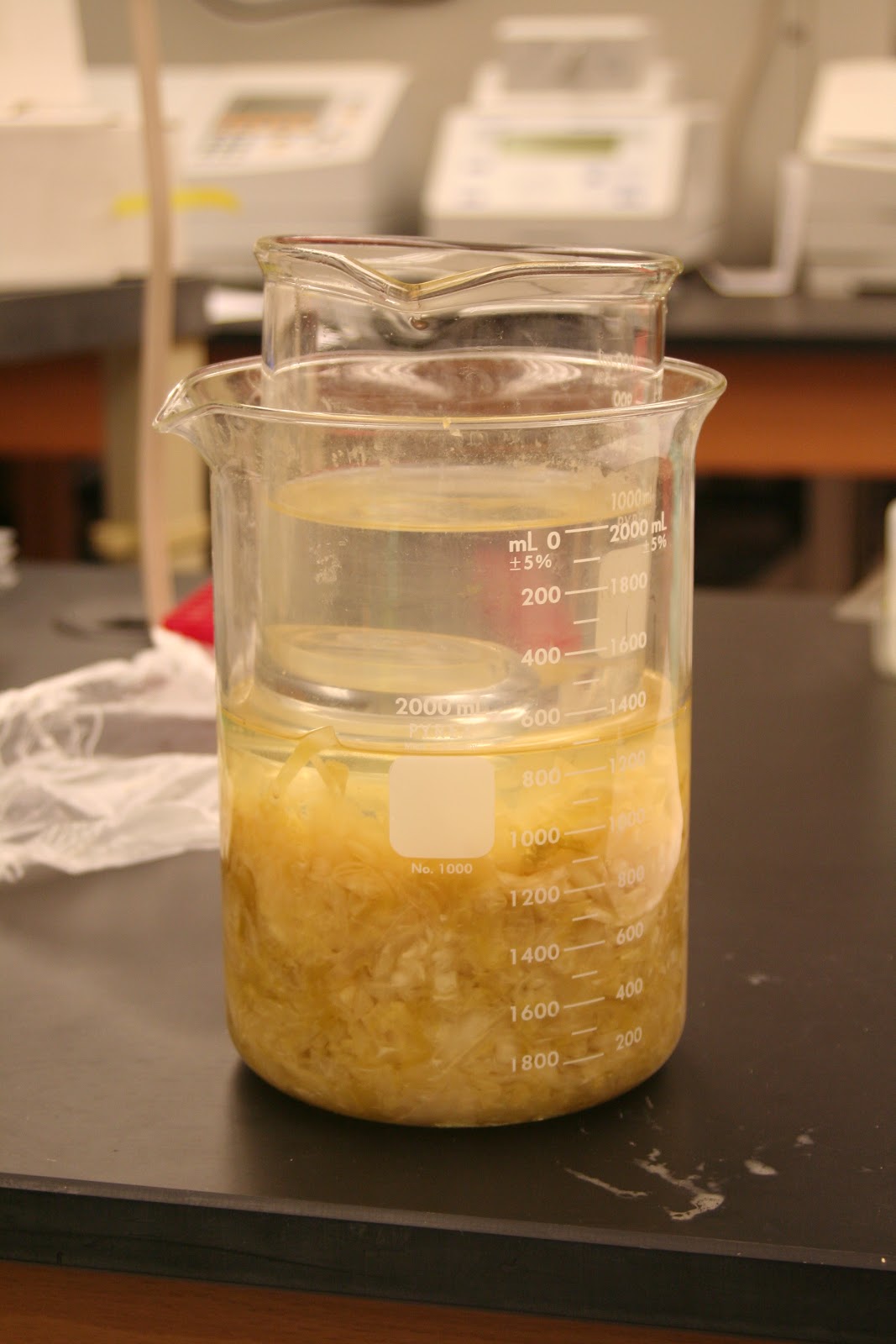 Practical Biology science for everyone Sauerkraut final product