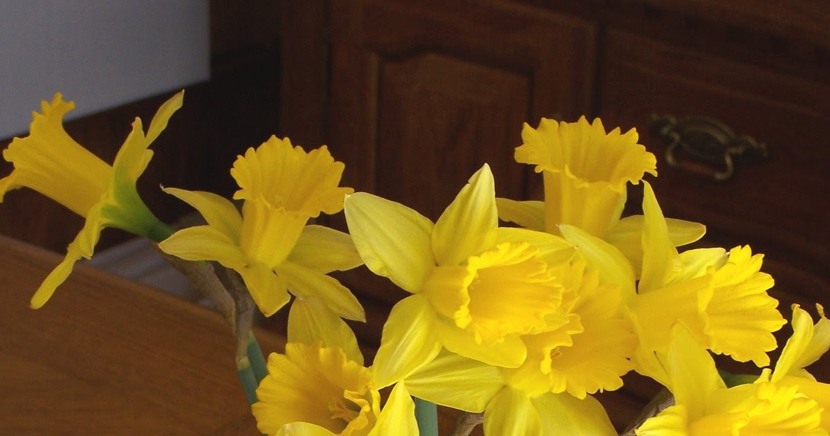 Breast Cancer is a Bitch Daffodil Days