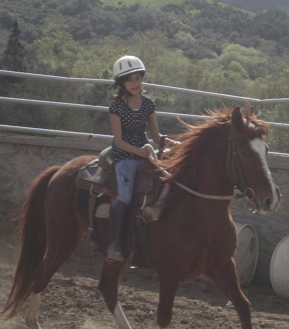 Fire screening a potential young adopter