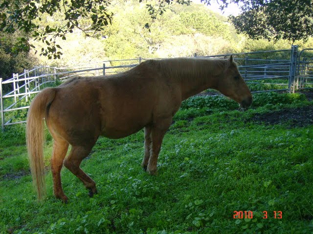 The other Spice Girl