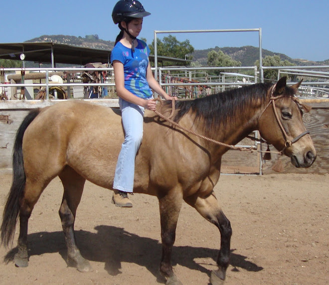 Amber on Lady Gwen today