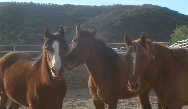 Nash, smiling Laredo, and Cimmaron