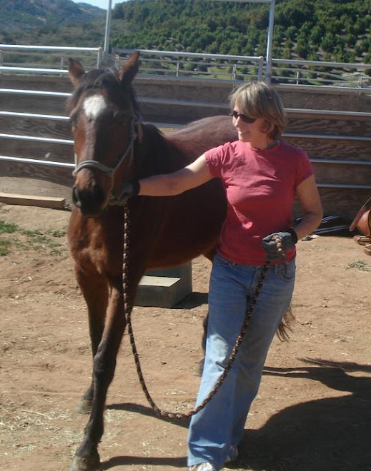 Volunteer Carla working with Jody