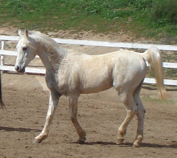 Casper says "I'm So Fine"