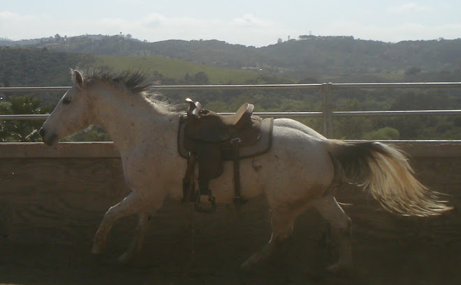 Cloud today moving out with a saddle on