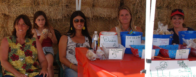 Some of our Motley Crew