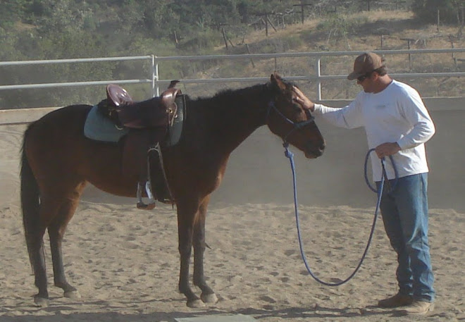 Brian and Jody, groundwork before 1st ride