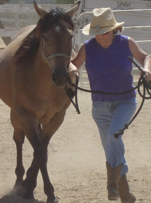 Volunteer Karen with Denny