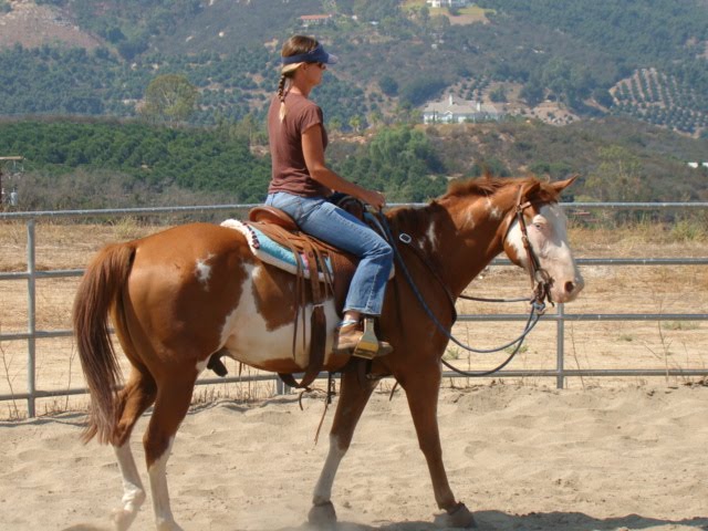 Laura Zeller on Wizard