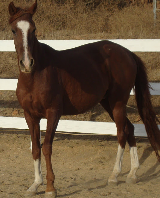 Fire, 14 days after rescue