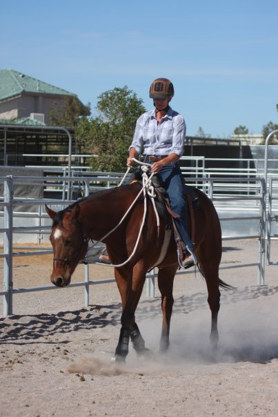 Beau, in Las Vegas, needs a home now