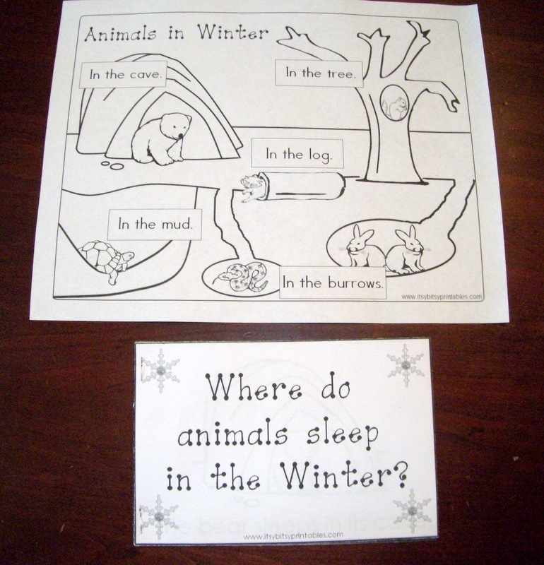 Shining Our Lights: Our Winter Preschool Unit