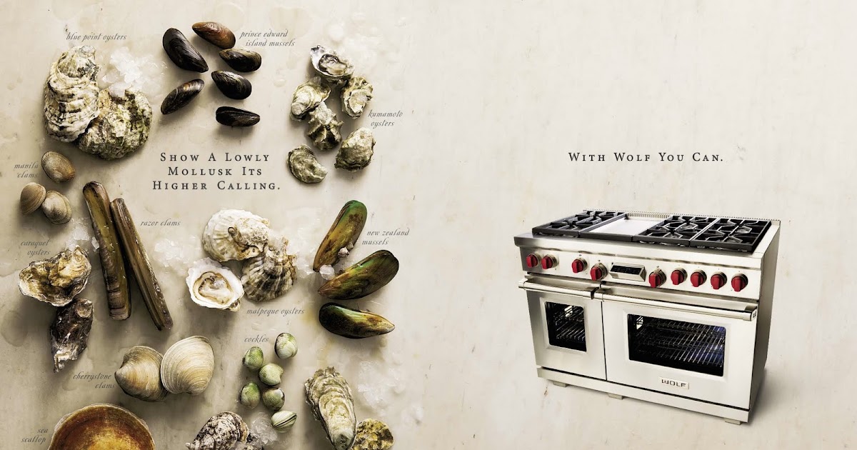 So, what's next? Wolf Appliance Brand Print
