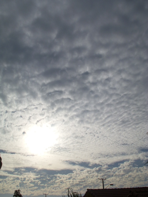 [DSCN8883.JPG]