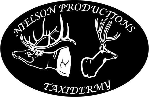 Nielson Productions Taxidermy