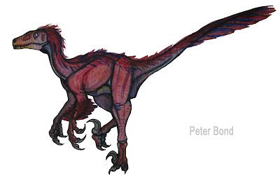 fossil raptor
