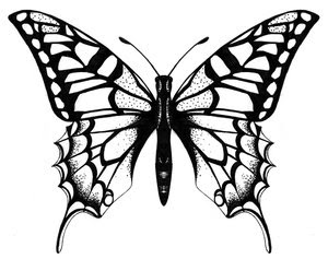 Tattoo Design Butterfly