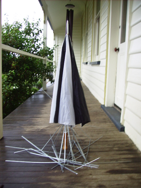 Standing Umbrella