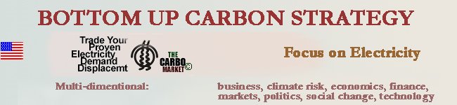 BOTTOM UP CARBON STRATEGY