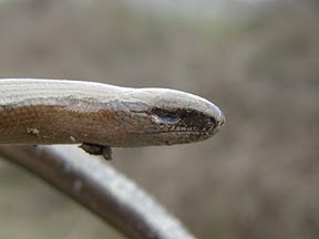 [P1260202.JPG]