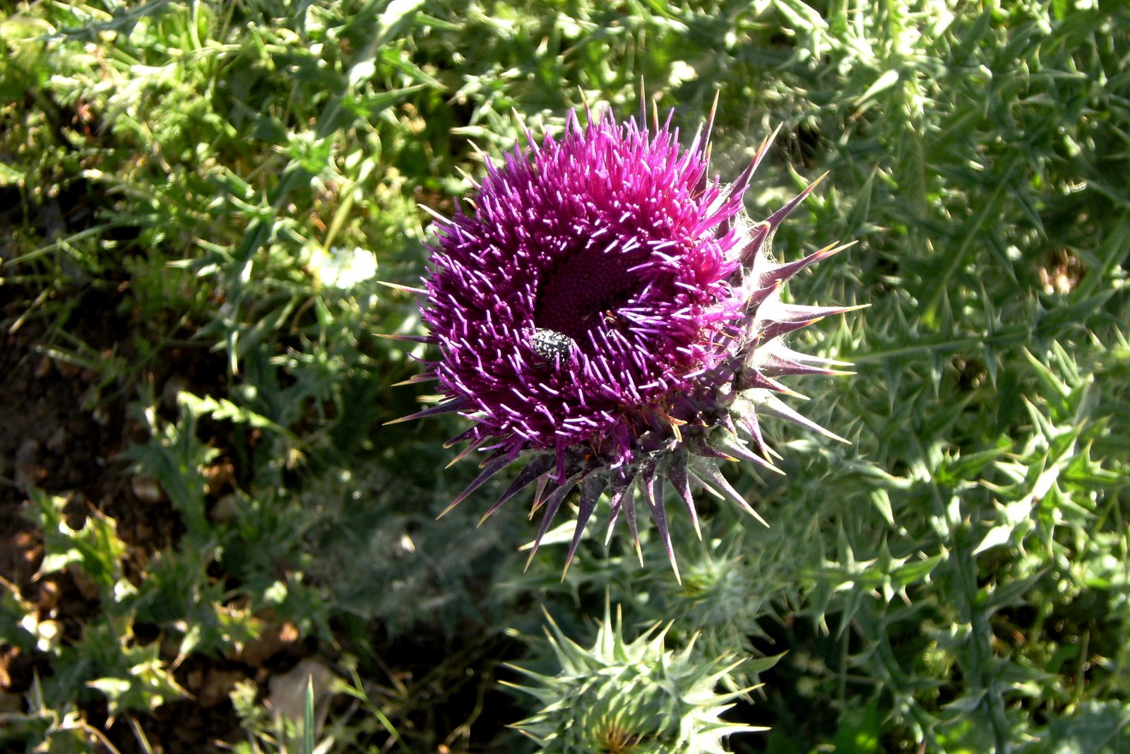 [DSCF1314.JPG]