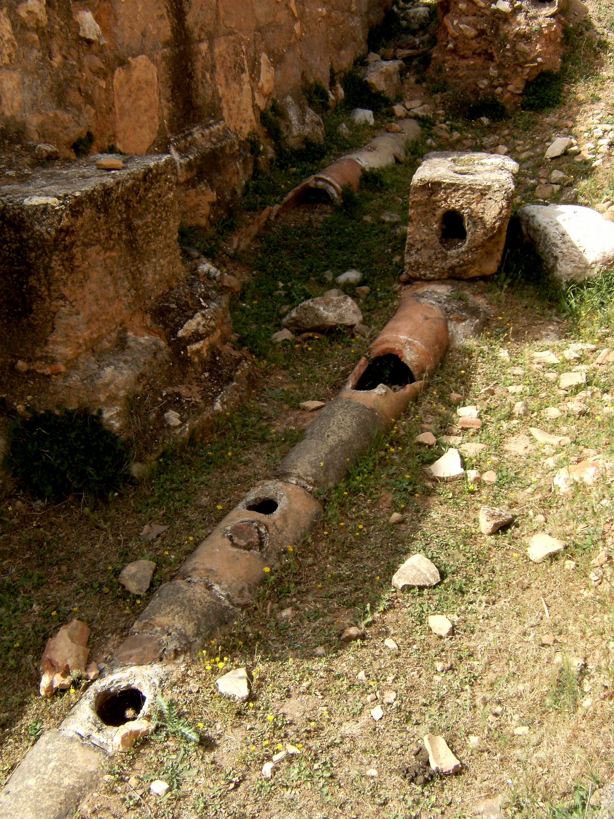 [DSCF1647.JPG]