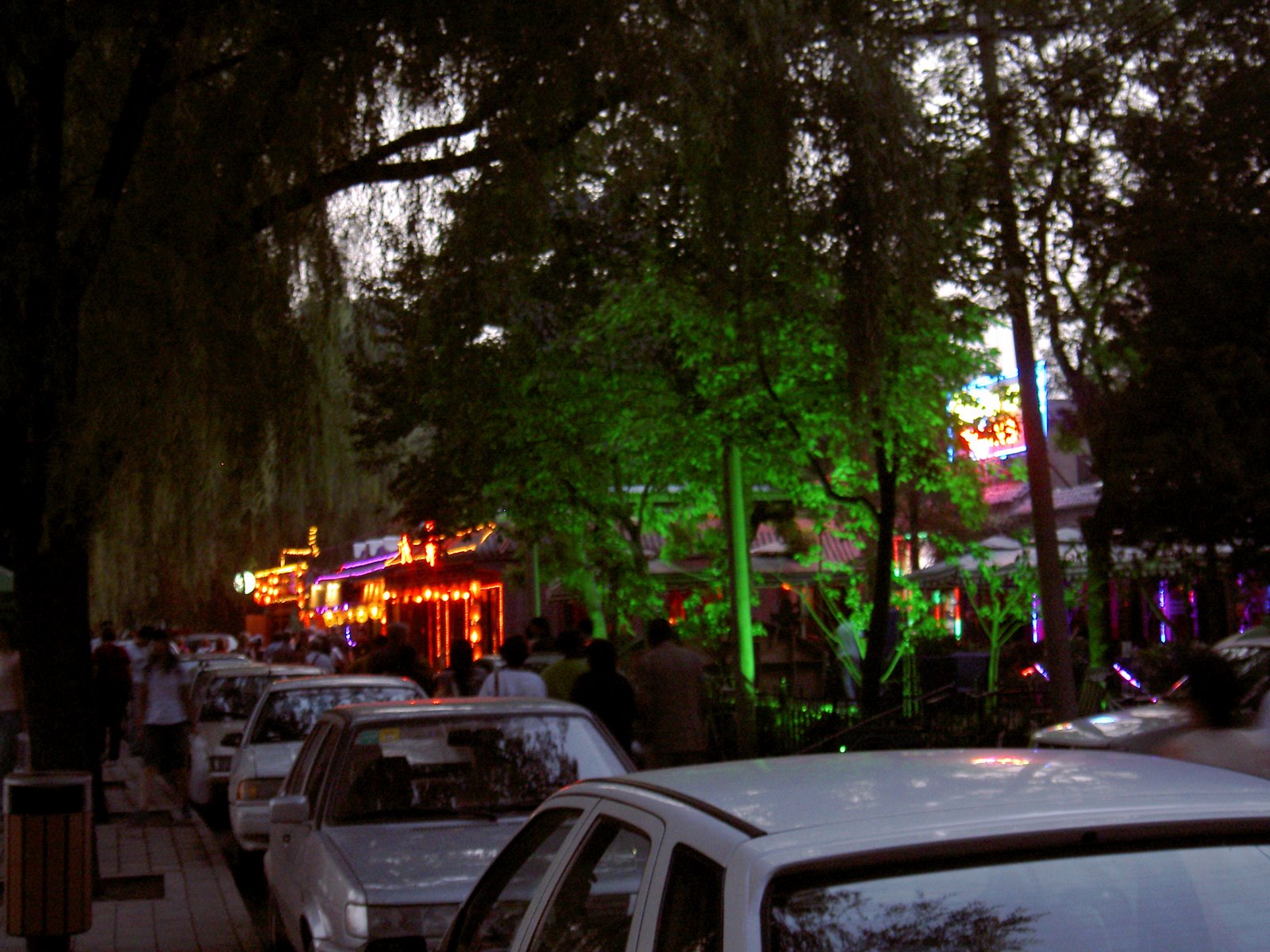 [PICT0798.JPG]