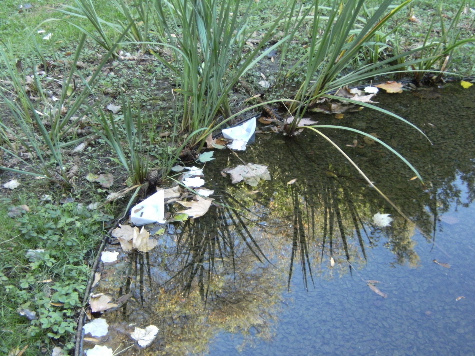 [DSCF3152.JPG]