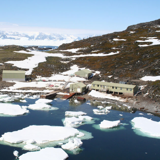 Aliens In Antarctica