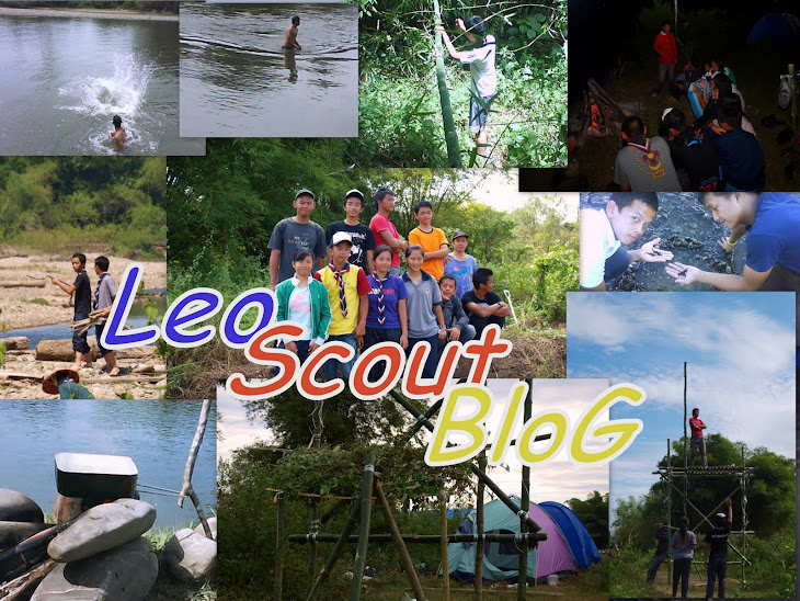 LeoScoutBlog
