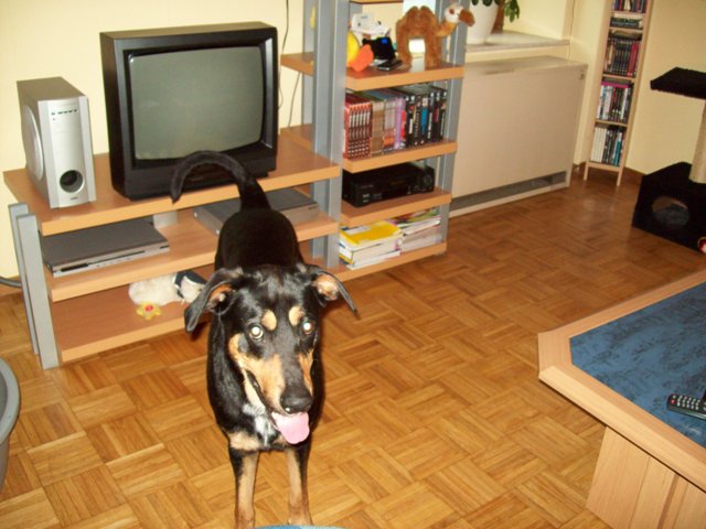 [100_0205.JPG]