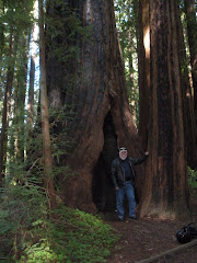 Ken standing inside a Redwood