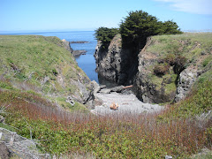 Views in Mendocino