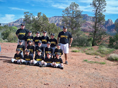 Neil's Baseballl Team