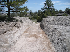 Oregon Trail Ruts