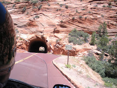Zion - Heading into small tunnel
